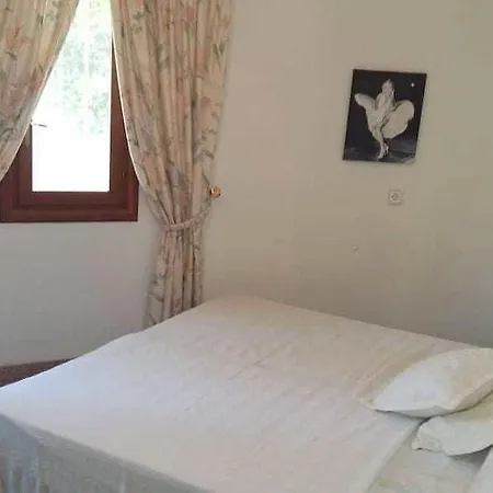 Hotel Jasmin 2*
